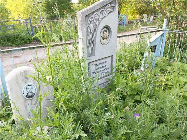 Цейцин Николай Филиппович