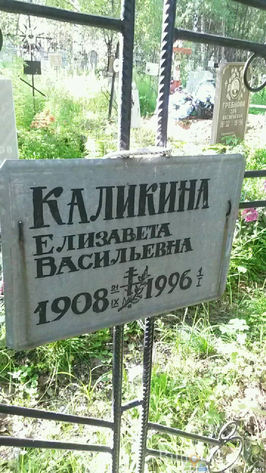 калинкина елизавета васильевна
