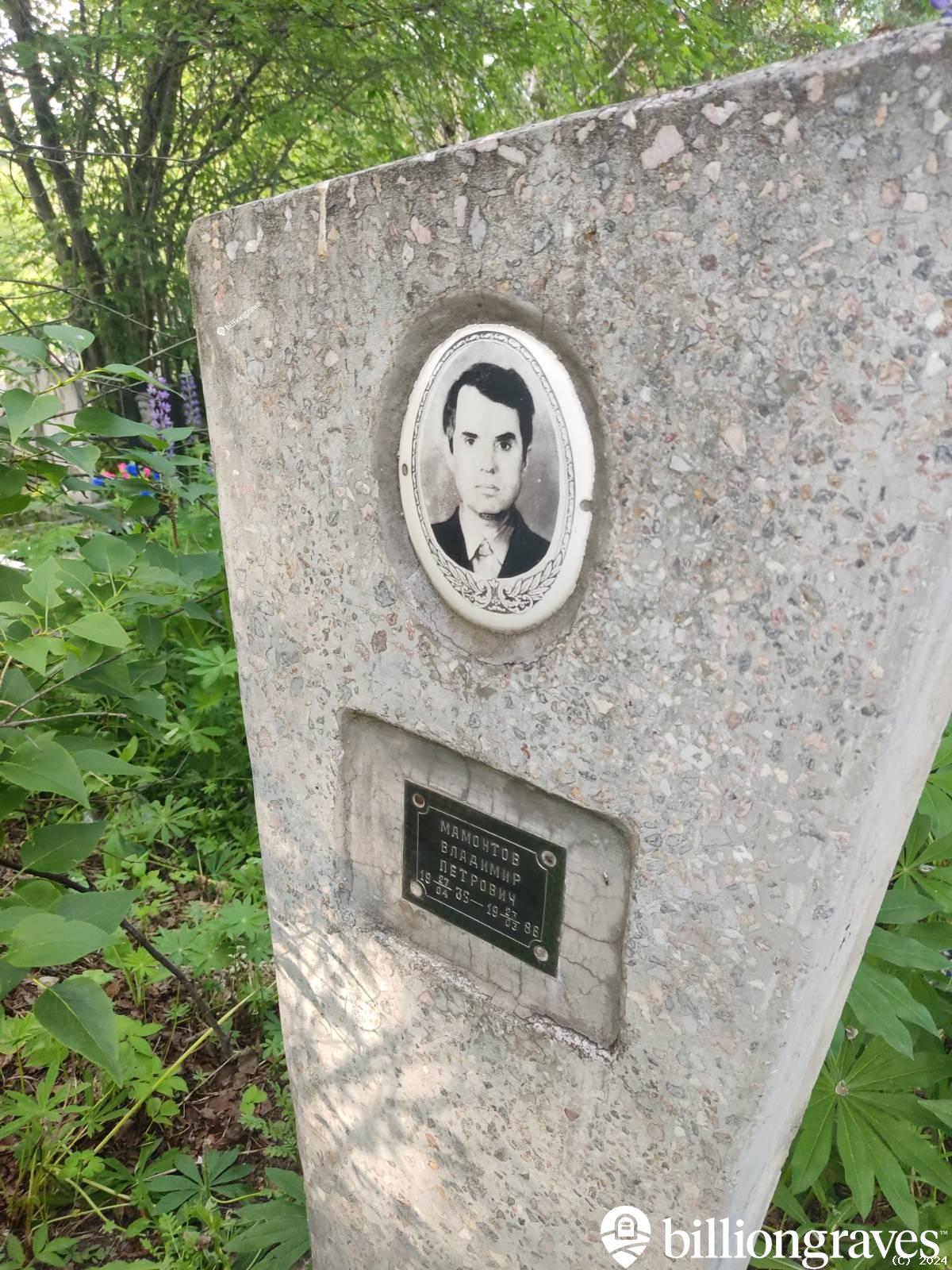 Мамонтов Владимир Петрович