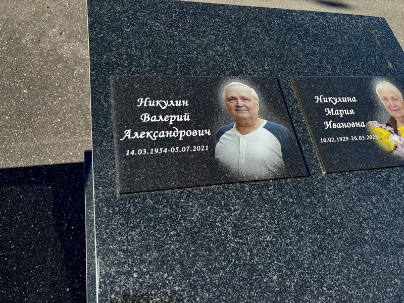 Никулин