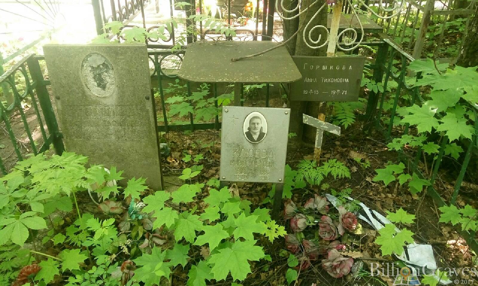 Клюева Мария Павловна