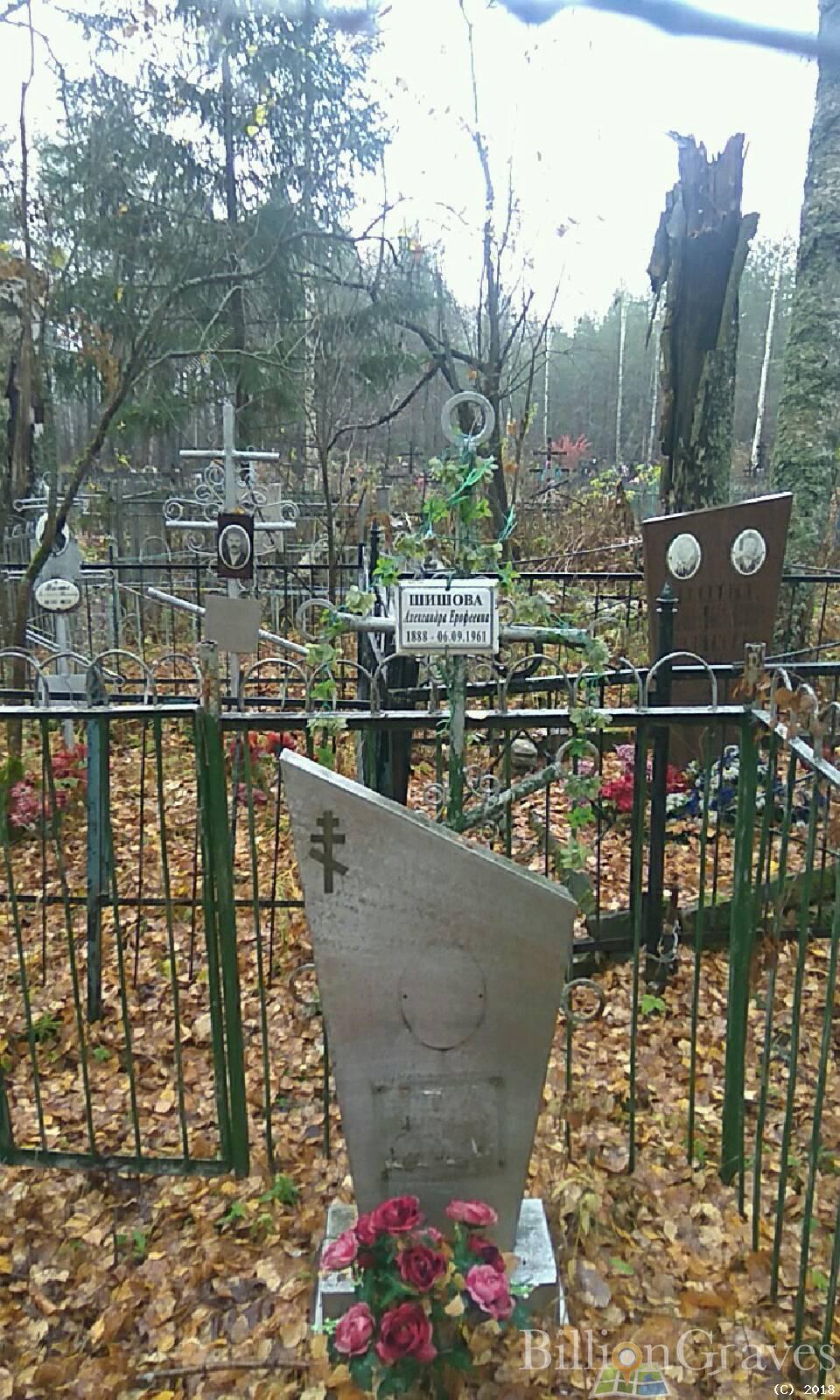 Шишова Александра Е