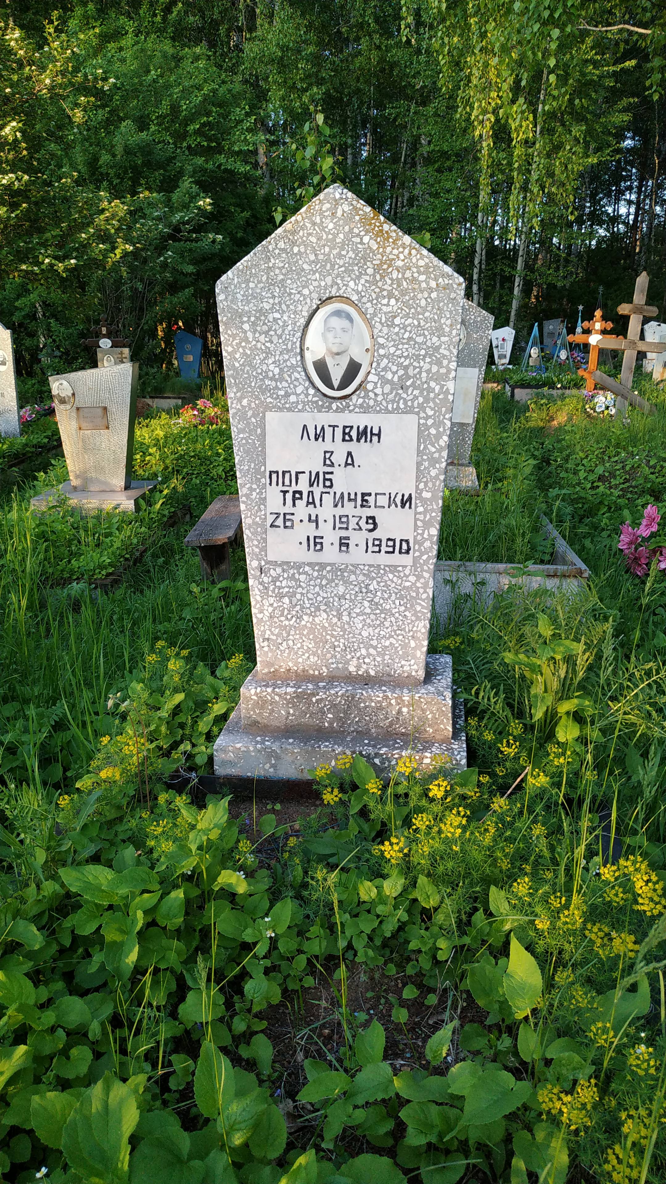 Литвин В. А.