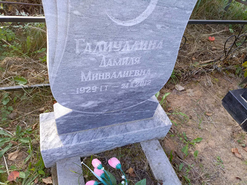 Дамиля Галиуллина Минвалиевна