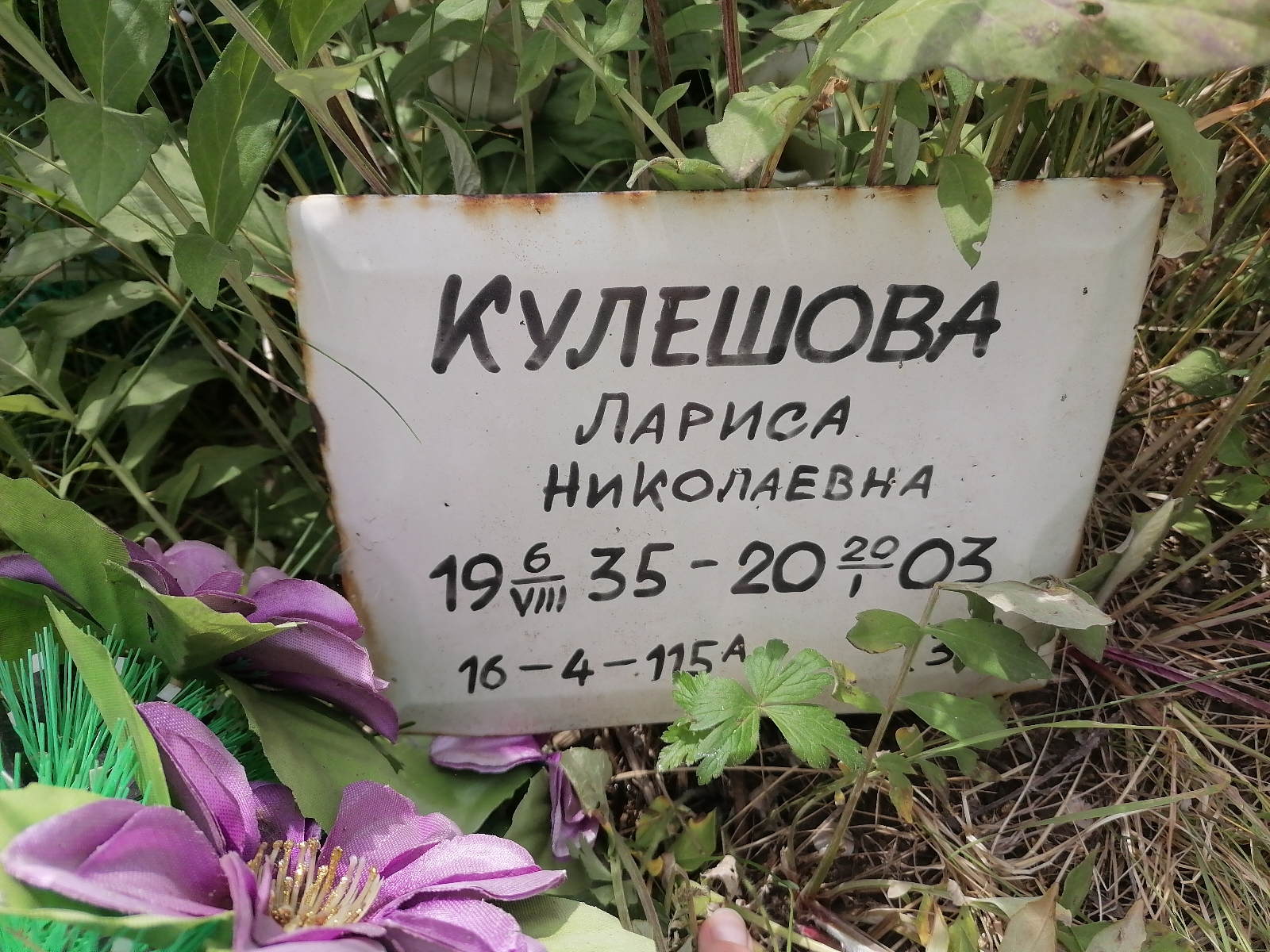Кулешова Лариса Николаевна