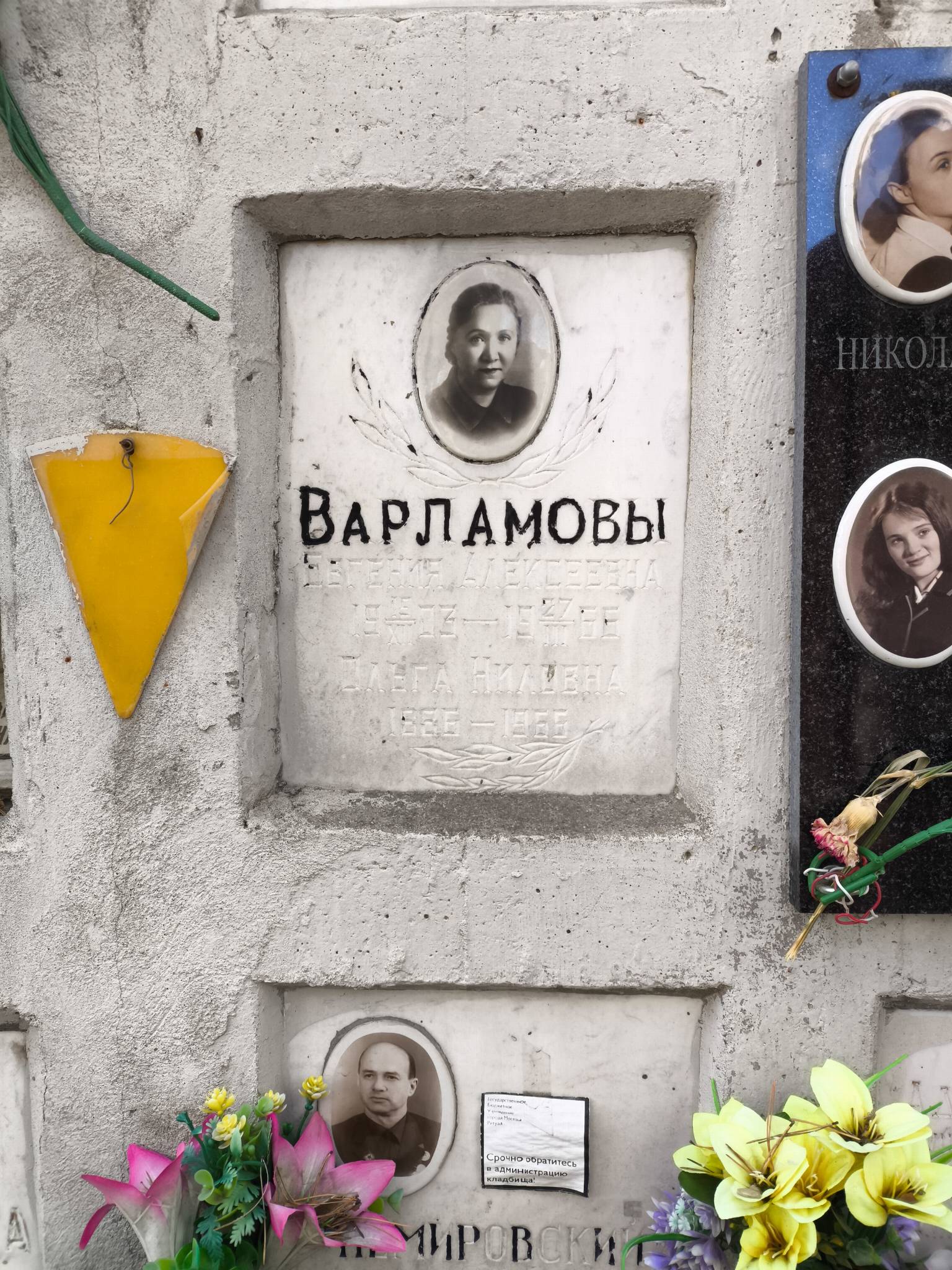 Варламова Евгения Алексеевна