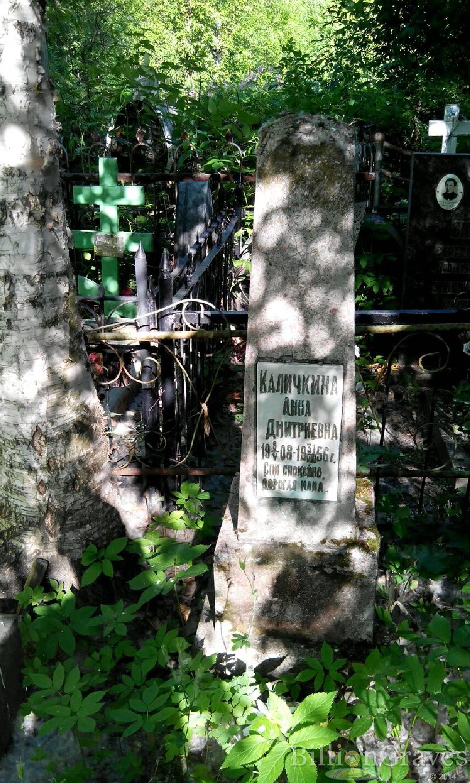 Каличкина Анна Дмитриевна