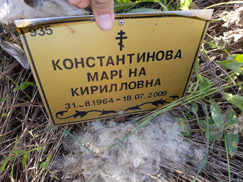 Константинова