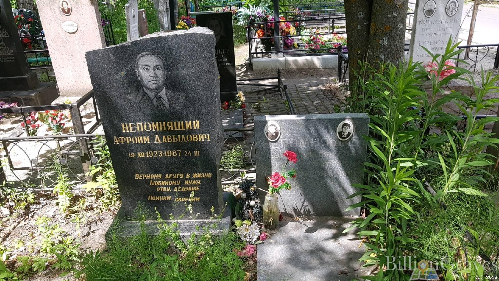 Непомнящий Афроим Давыдович
