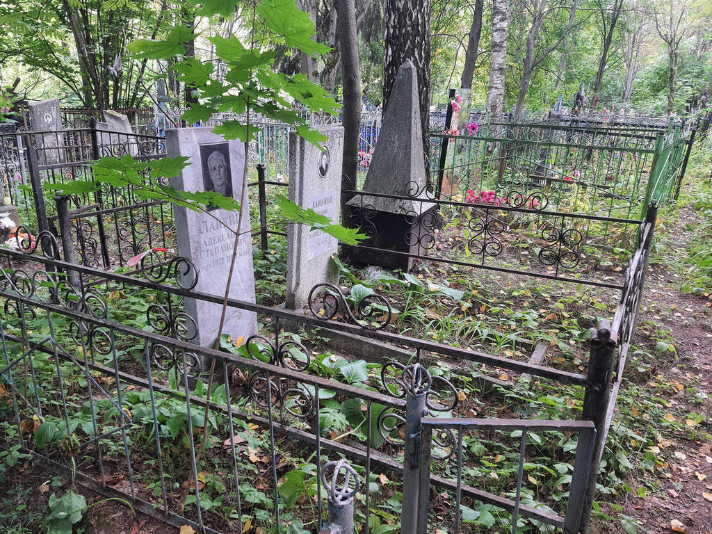Лайкин Александр Степанович