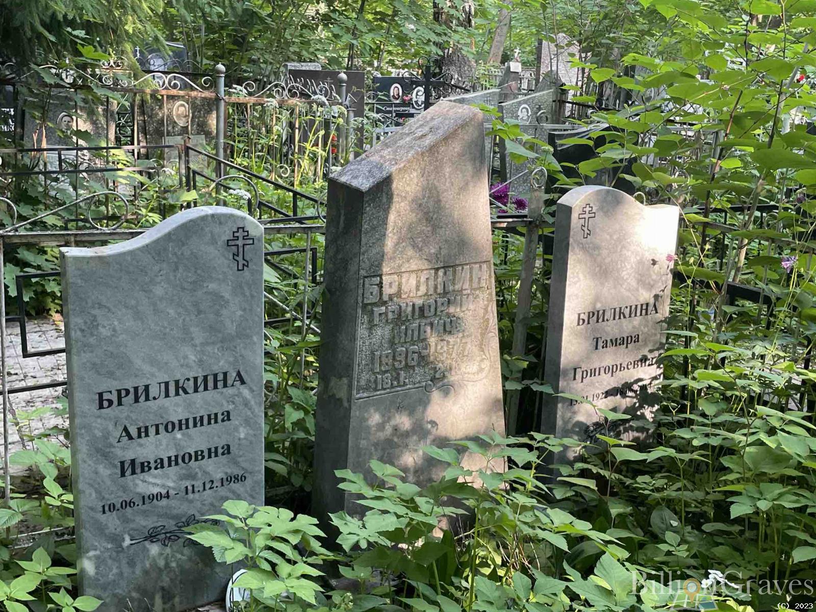 Брилкин Григорий Ильич