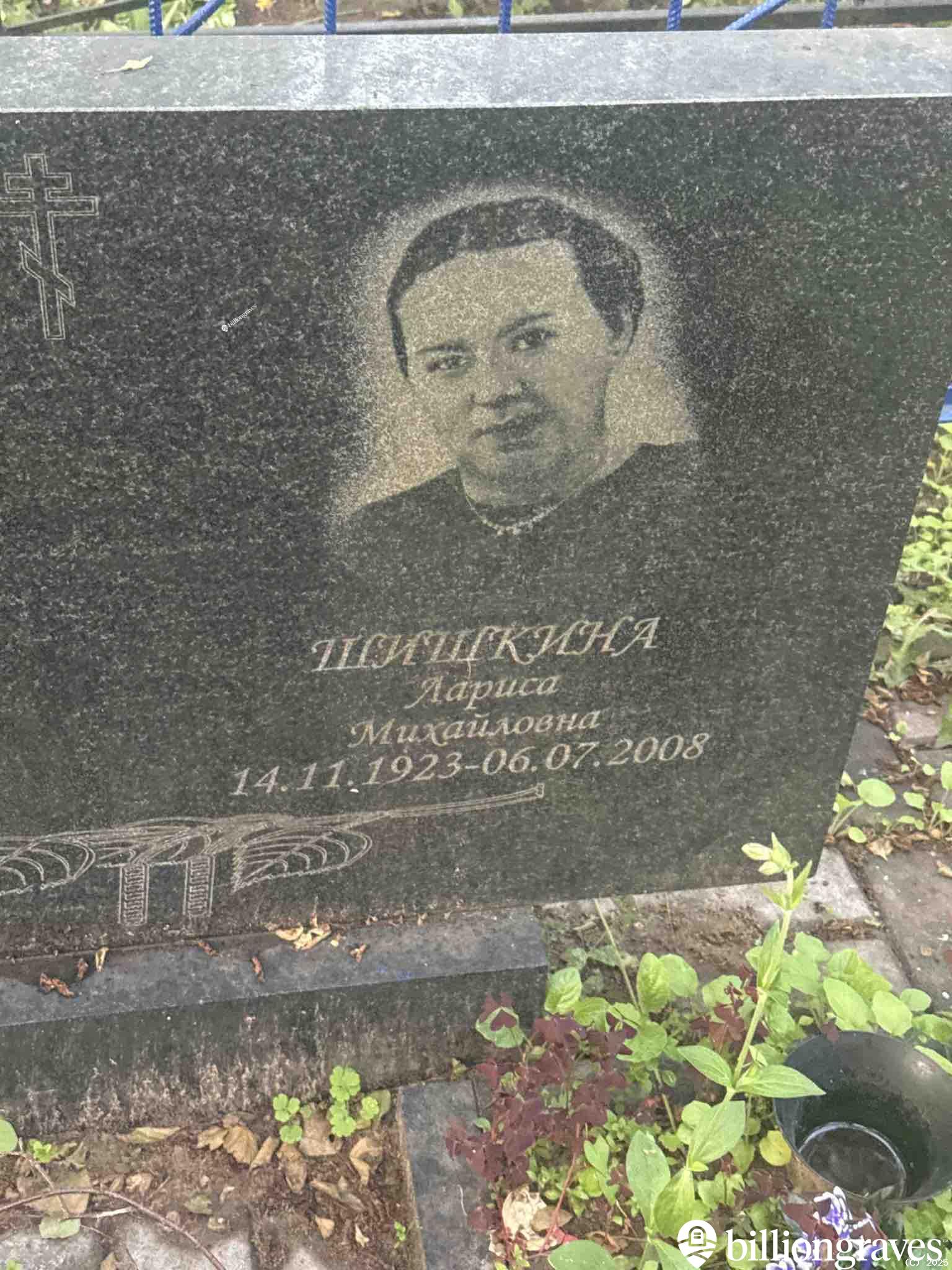 Шишкина Лариса Михайловна