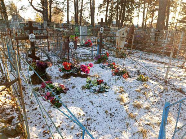 Шахманаев Владимир Георгиевич