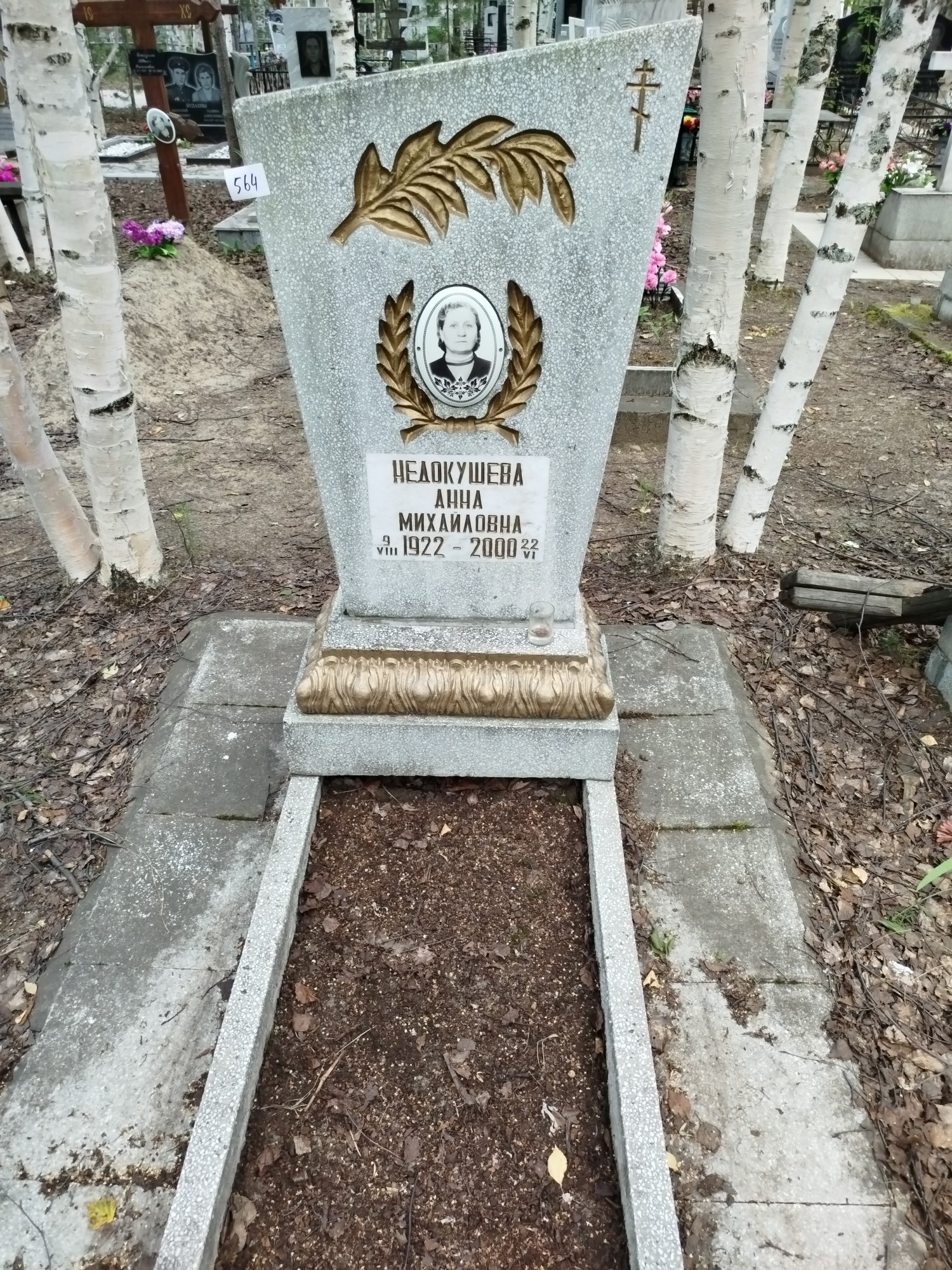 Недокушева Анна Михайловна