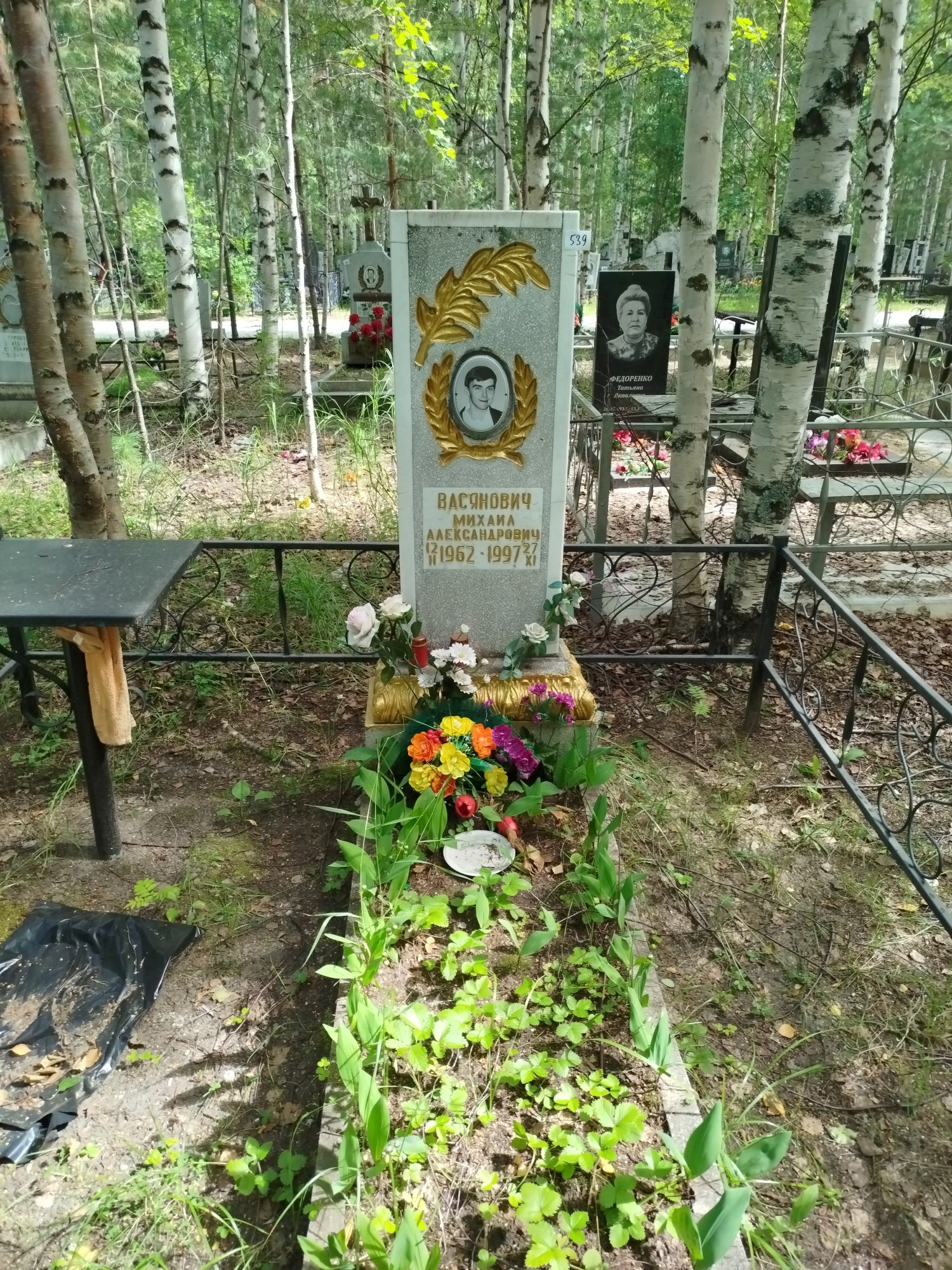 Васянович Михаил Александрович