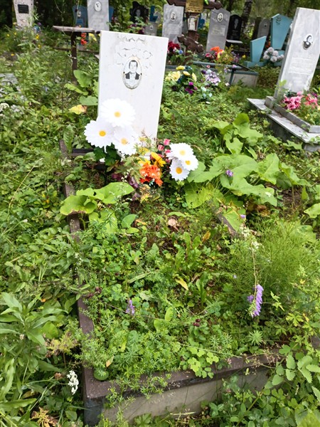Лубягин Николай Михайлович