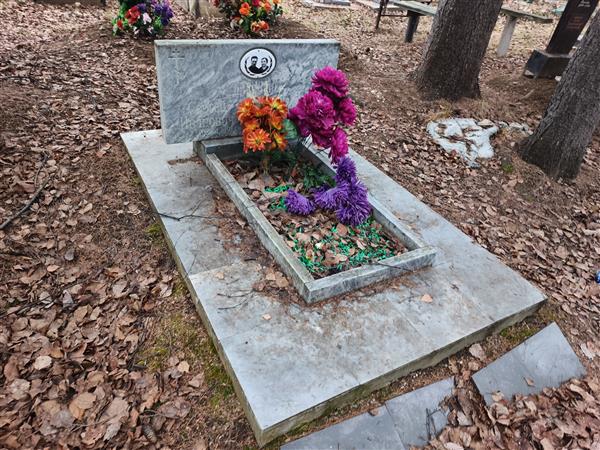 Шипицин Сергей Иванович