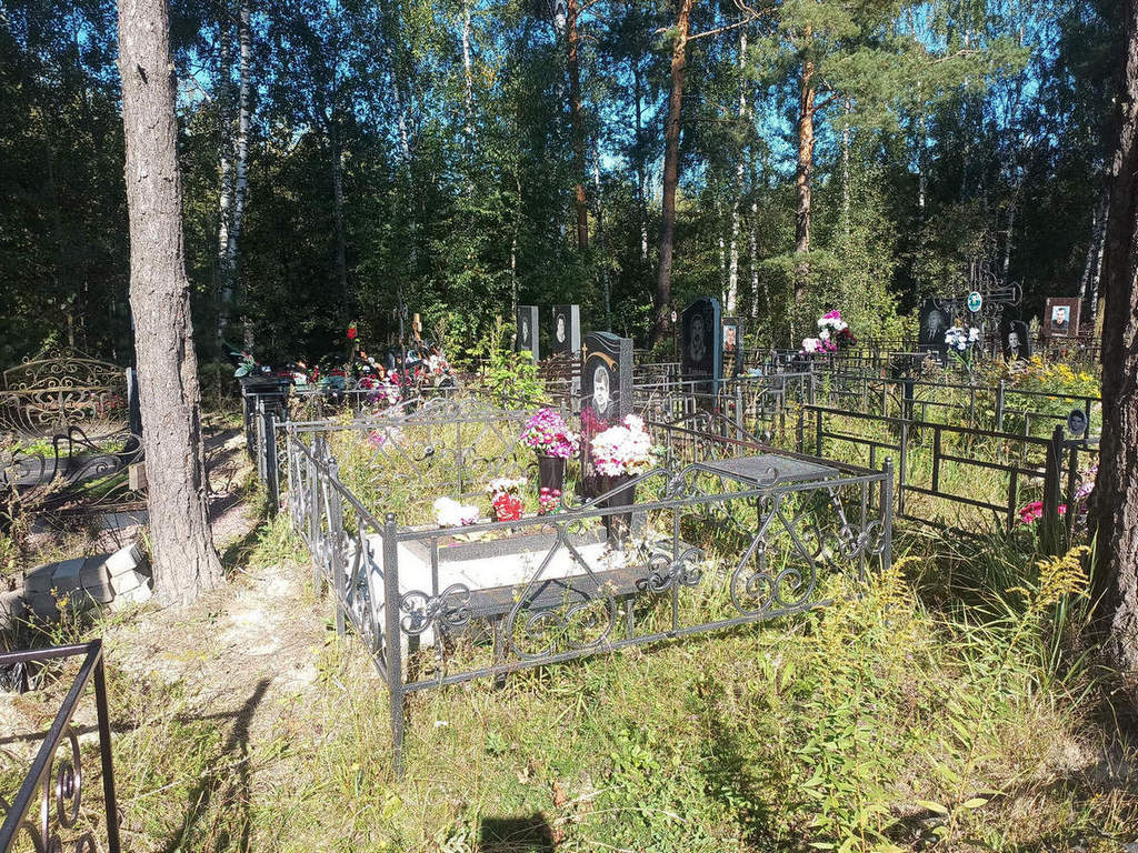 Гоголадзе Владимир Анатольевич
