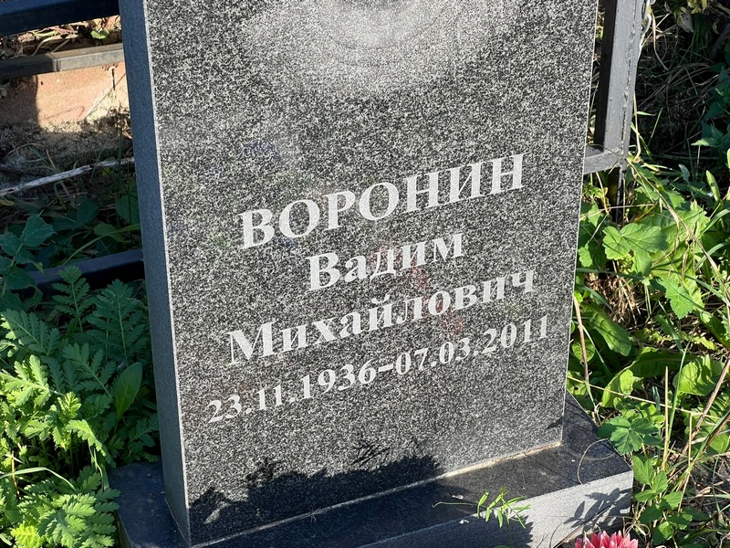 Воронин