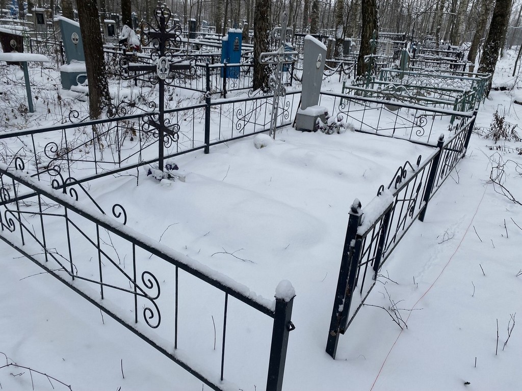 Горнушенкова Альбина Александровна