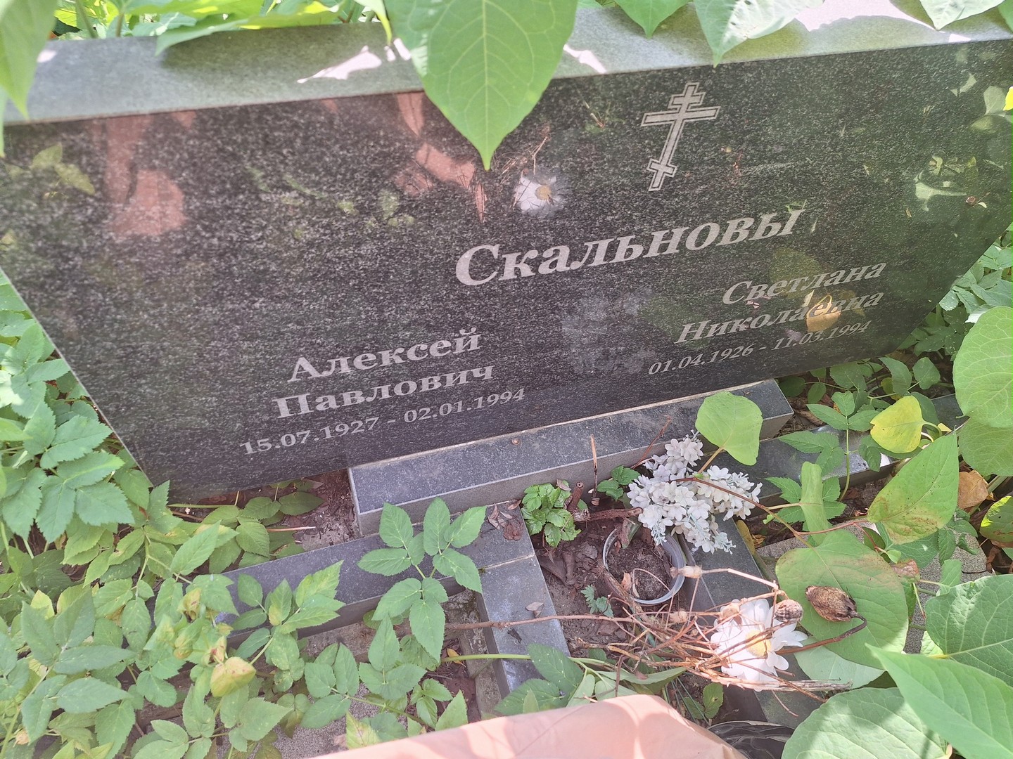 Скальнов