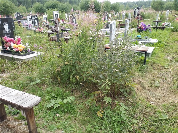 Рукавишникова Любовь Викторовна