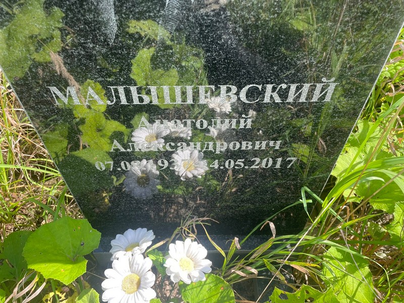 Малышевский