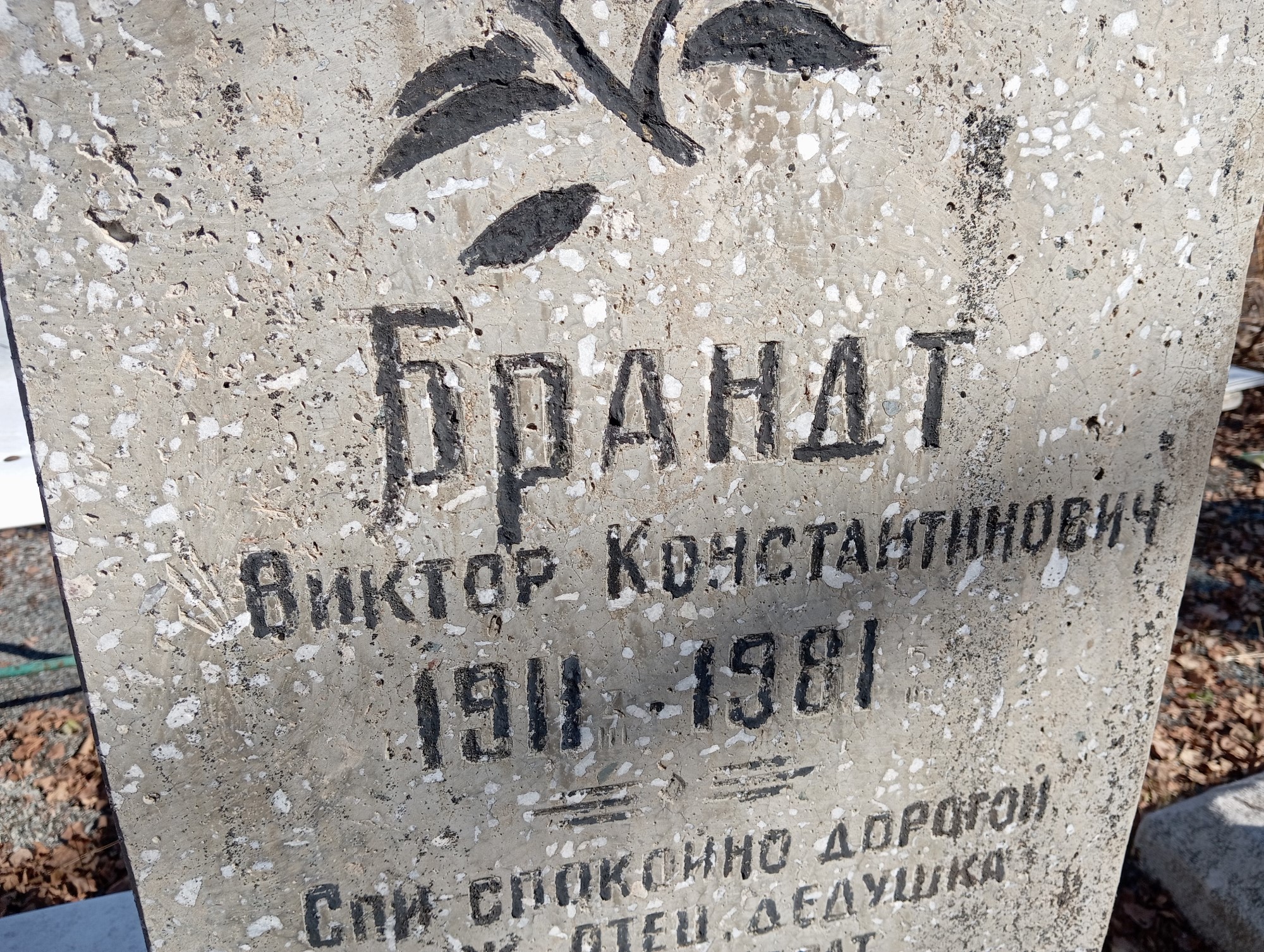 Брандр Виктор Константинович