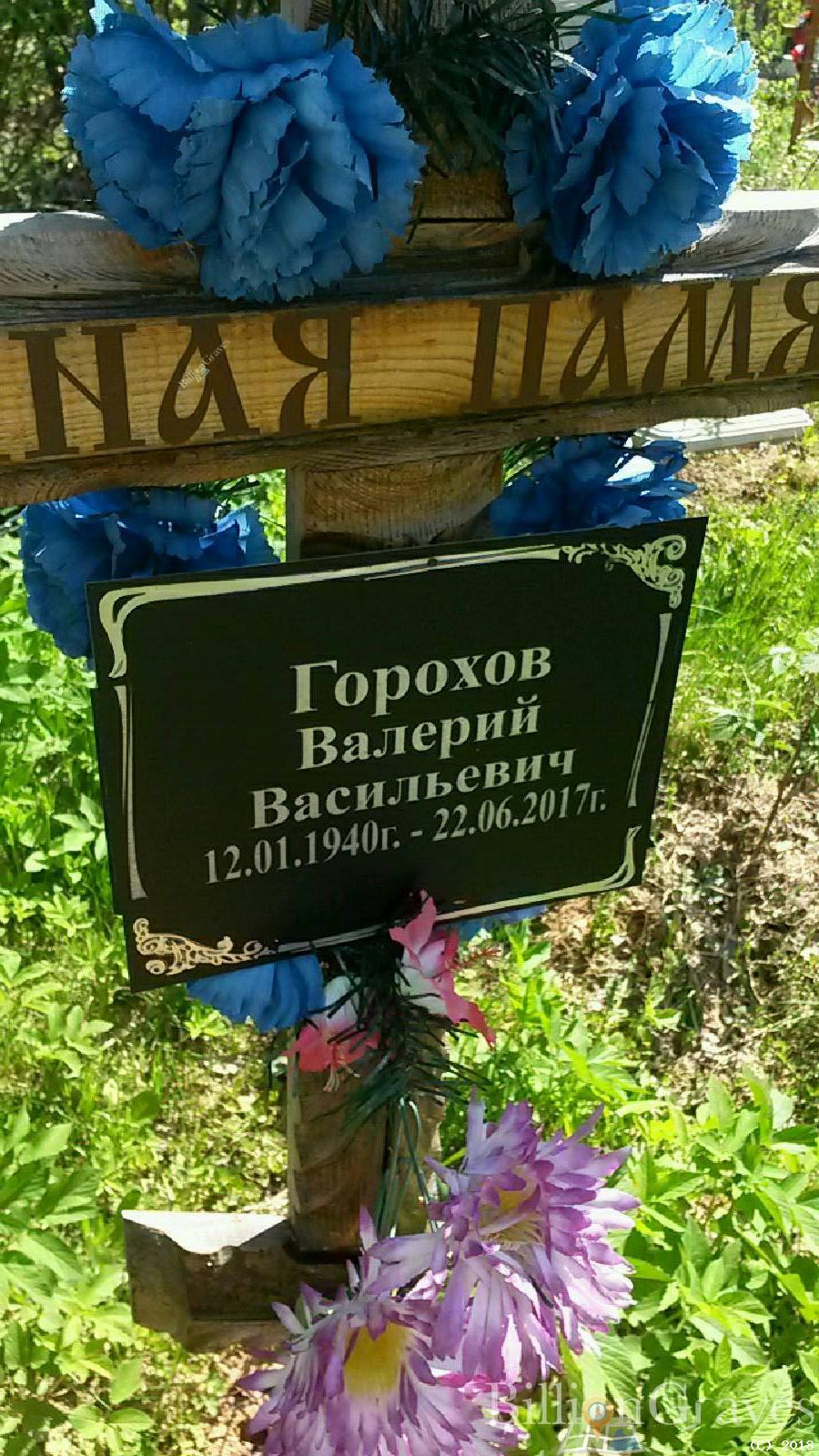 Горохов Валерий Васильевич