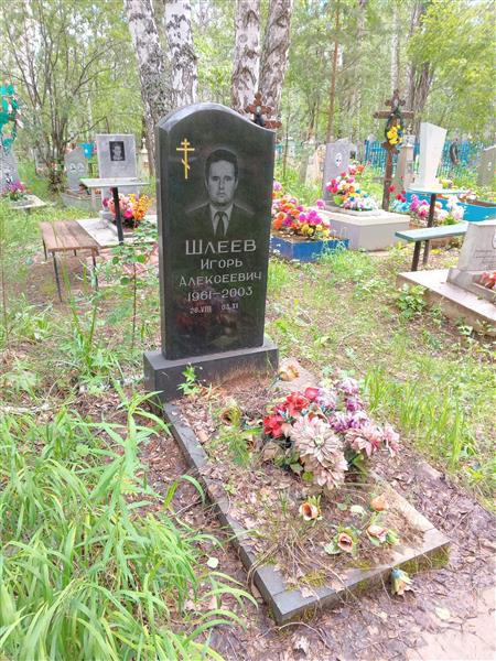 Шлеев Игорь Алексеевич