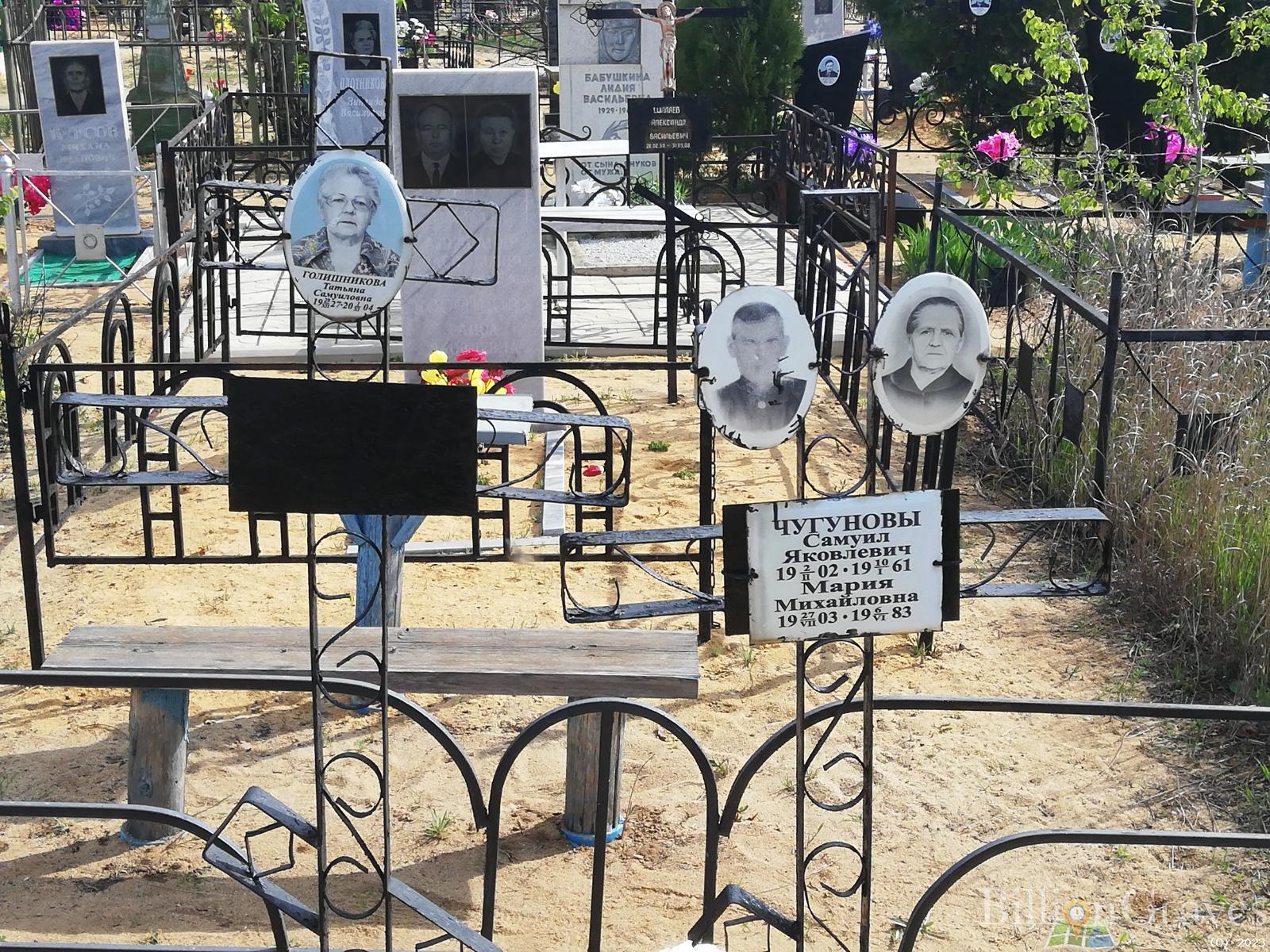 Голишникова Татьяна Самуиловна