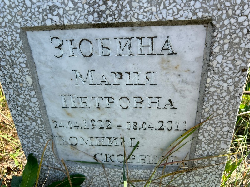 Зюбина