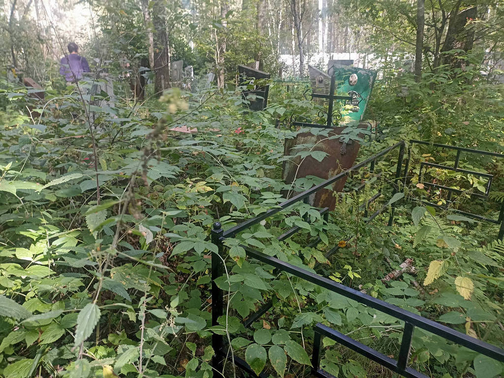 Сазеев Борис Гаврилович