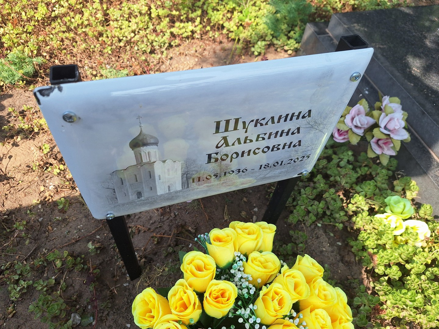 Альбина Шуклина Борисовна