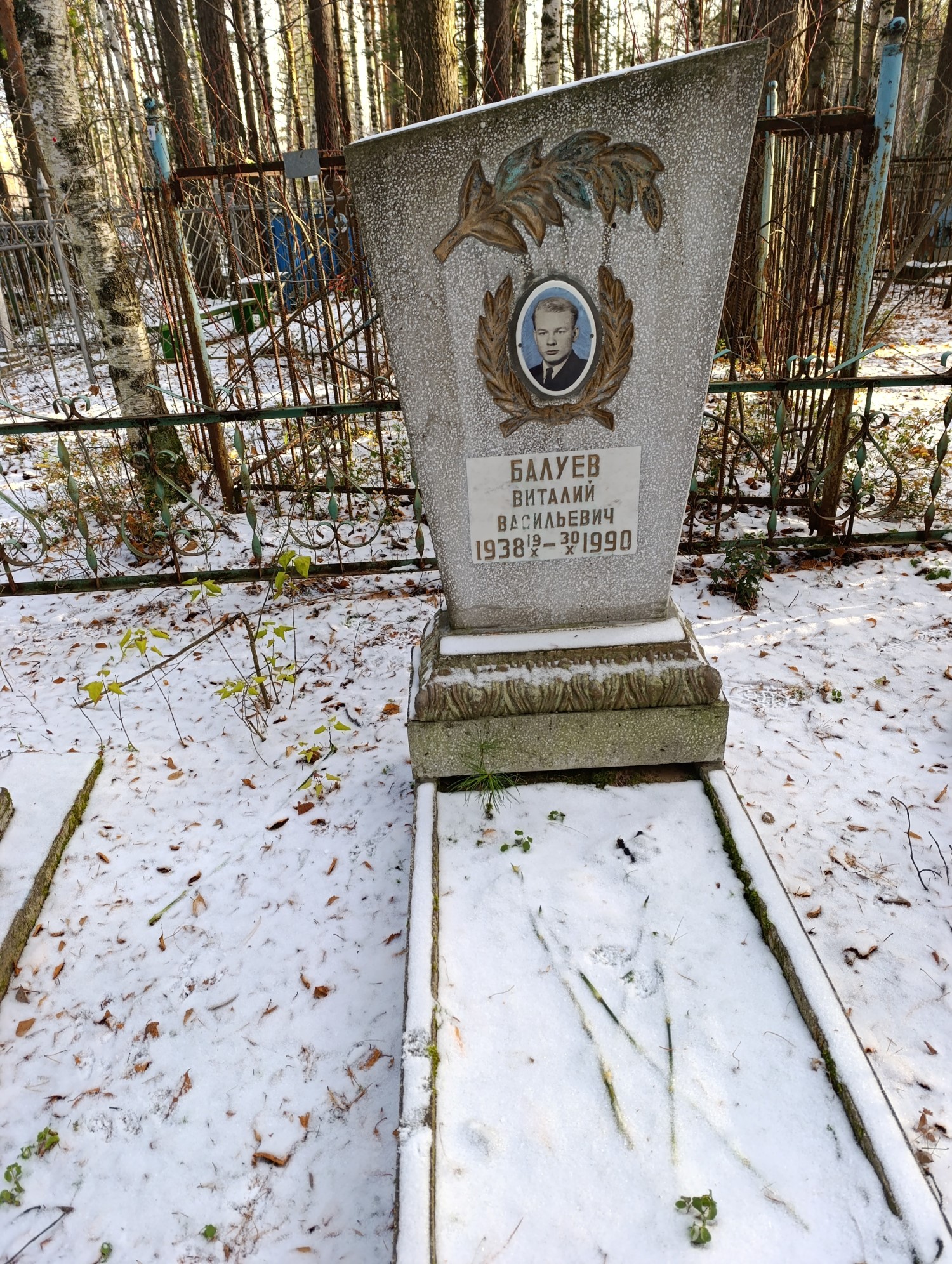 Балуев Виталий Васильевич