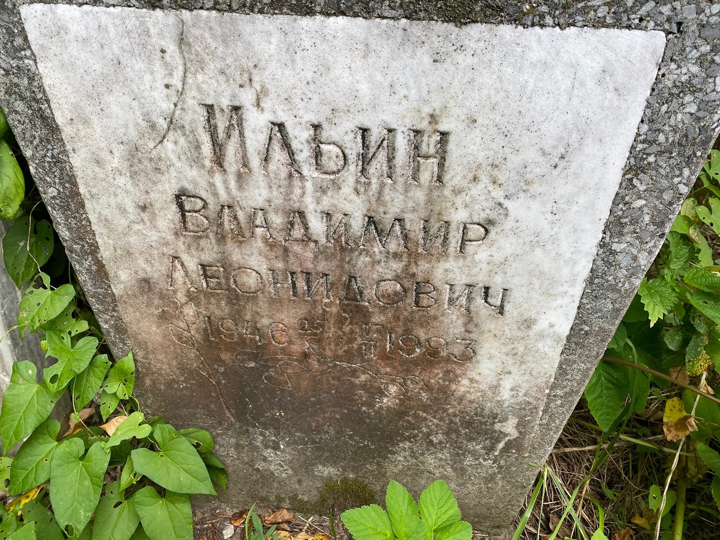 Ильин