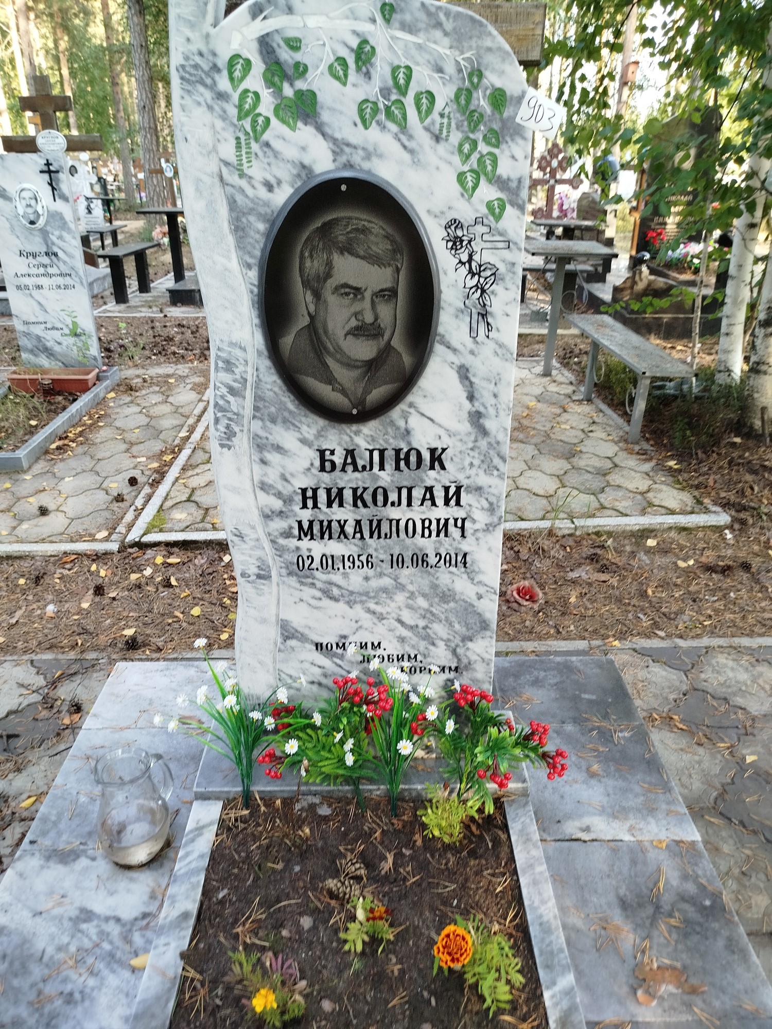 Балюк Николай Михайлович
