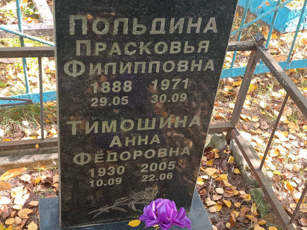 Тимошина Анна Федоровна