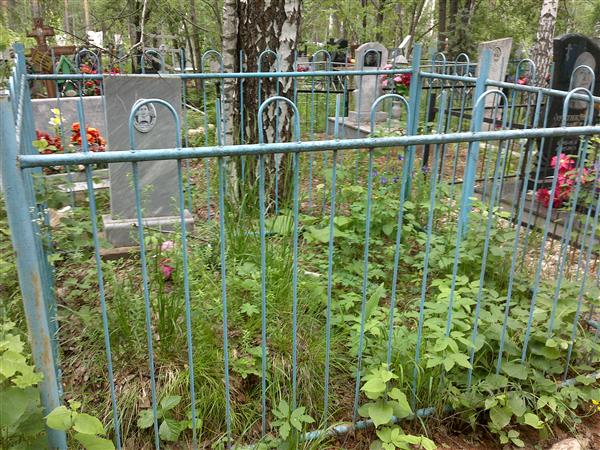 Лаврентьева-Бажова Анна Александровна