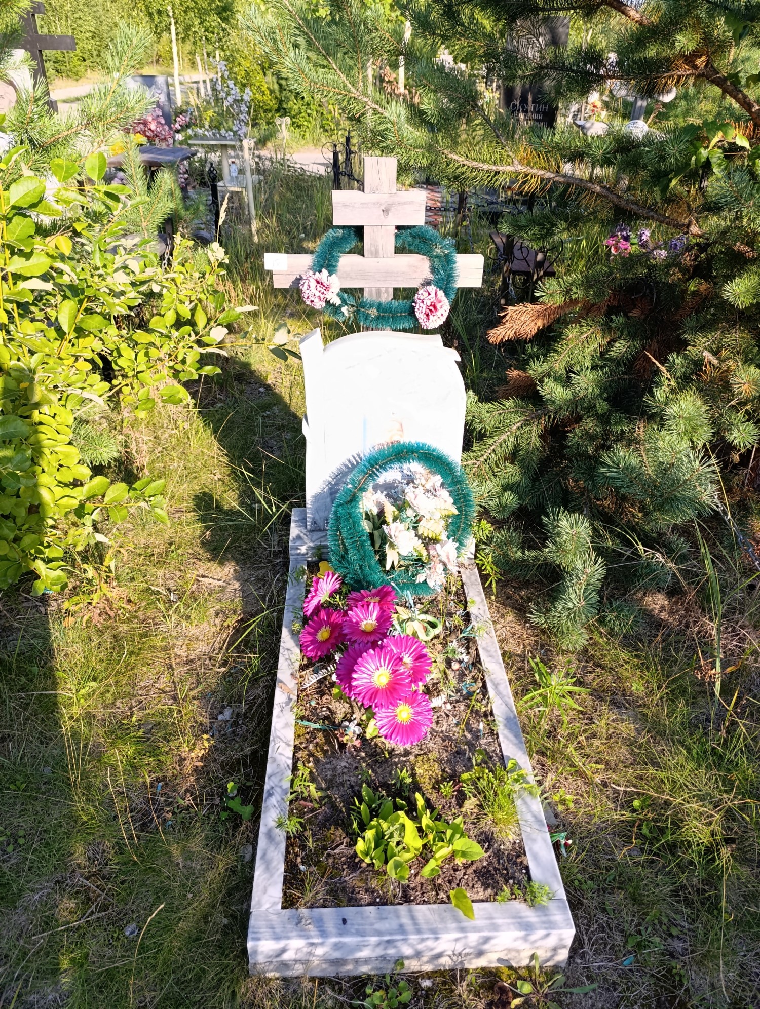 Полякова Варвара Владимировна