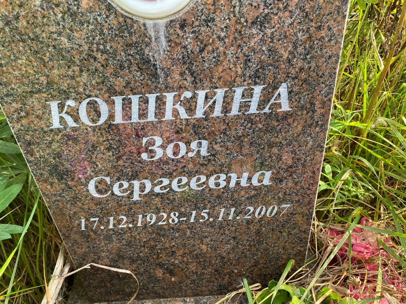 Кошкина