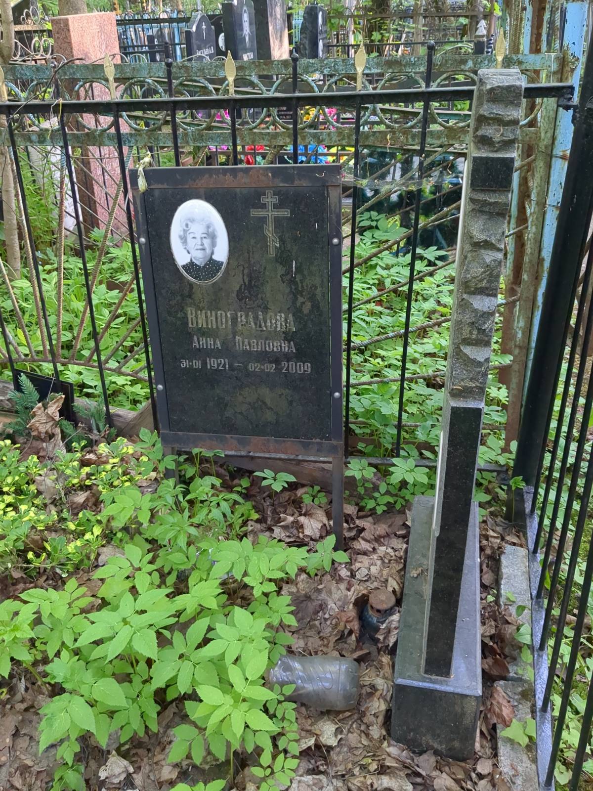 Виноградова Анна Павловна