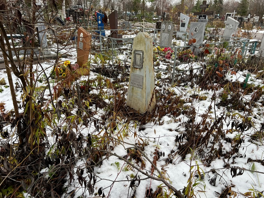 Воскресенский Александр Александрович