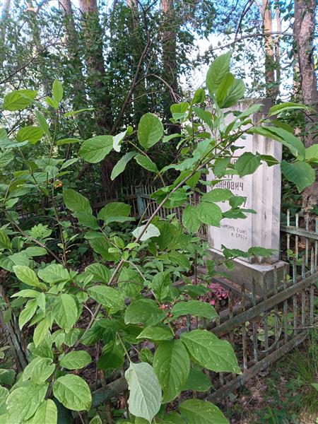 Нилов Петр Иванович