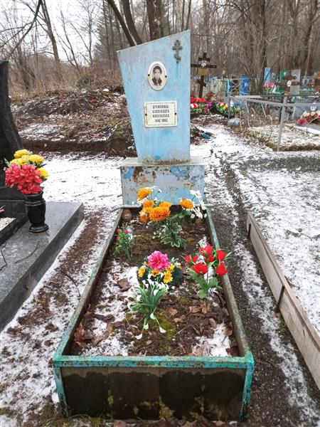 Дружинина Александра Николаевна