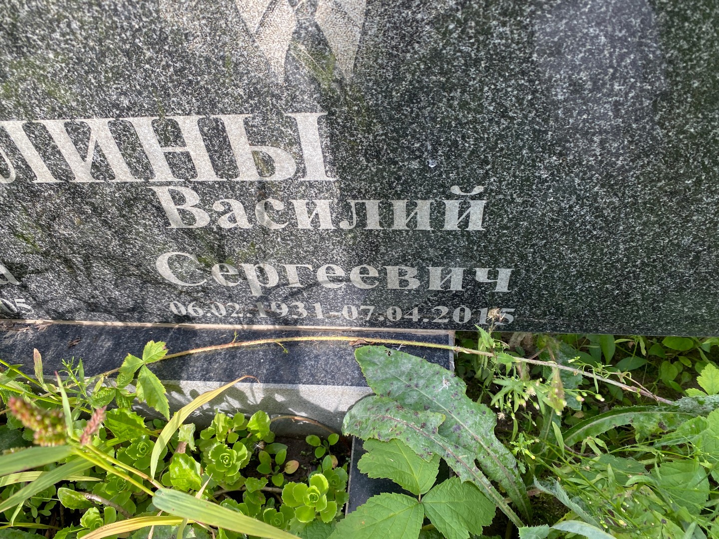Никулин