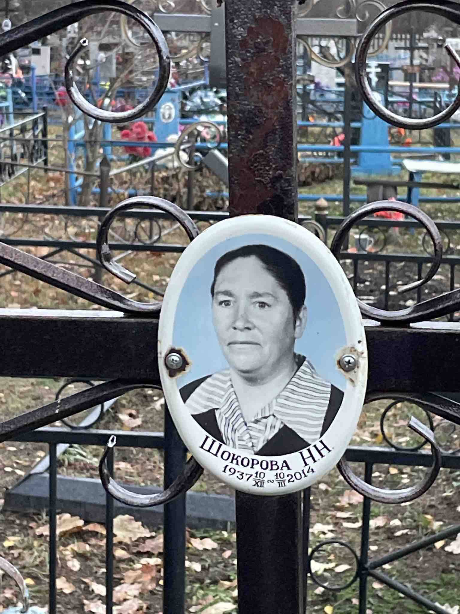 Шокорова Н. Н.