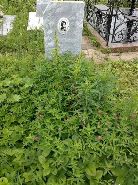 Теплякова Галина Михайловна