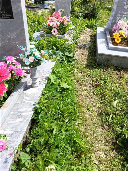 Широкова Александра Григорьевна