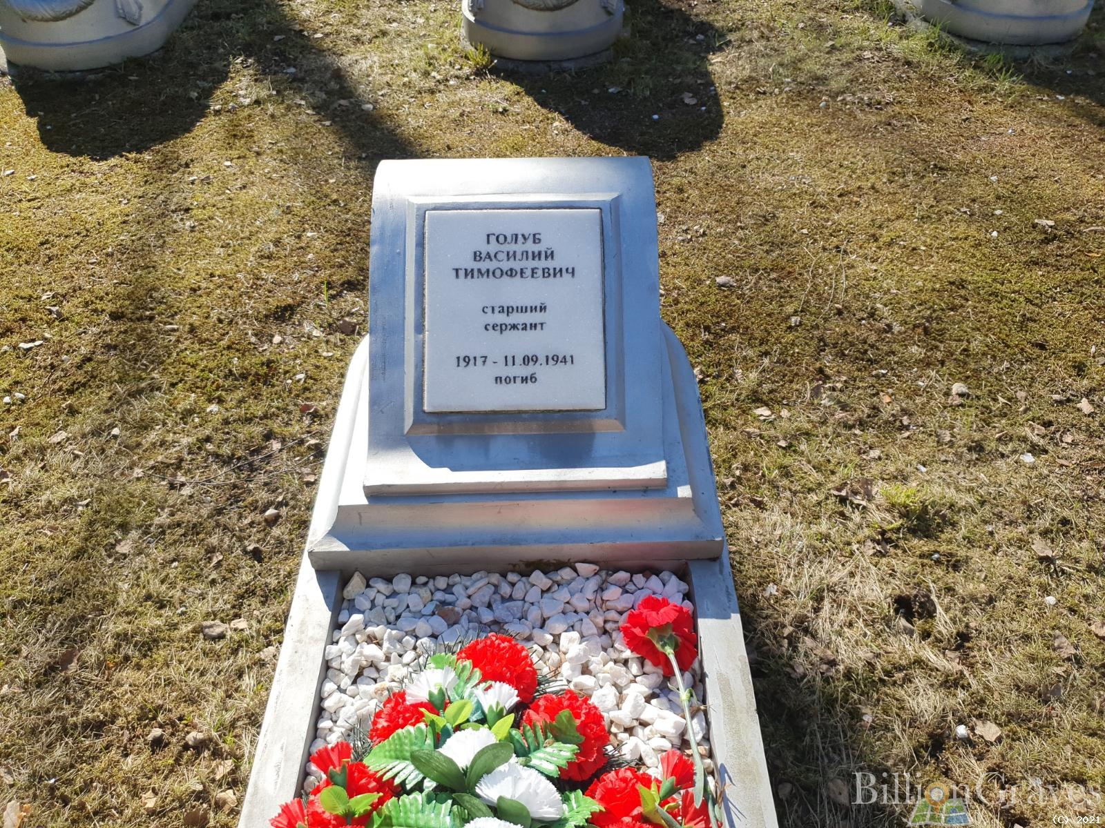 Голуб Василий Тимофеевич